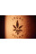 HHC Олія каннабісу Legal Relax - 10% - 10 ml.