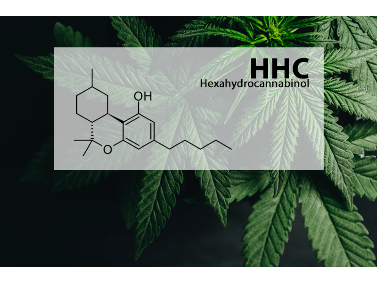 HHC - Твій Супутник У Подоланні Стресу і ПТСР! 